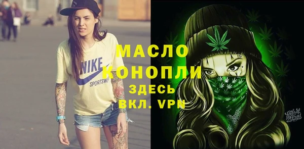 индика Абдулино